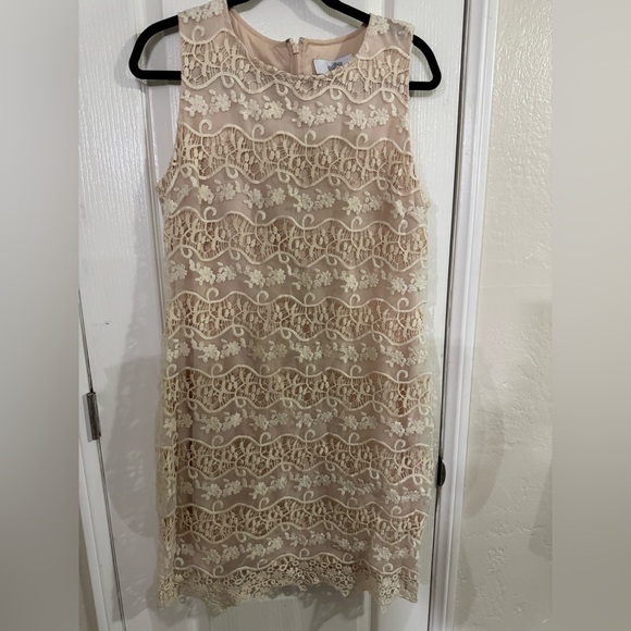 Badgley Mischka Lace Overlay Dress in Cream and Tan - Picture 1 of 11